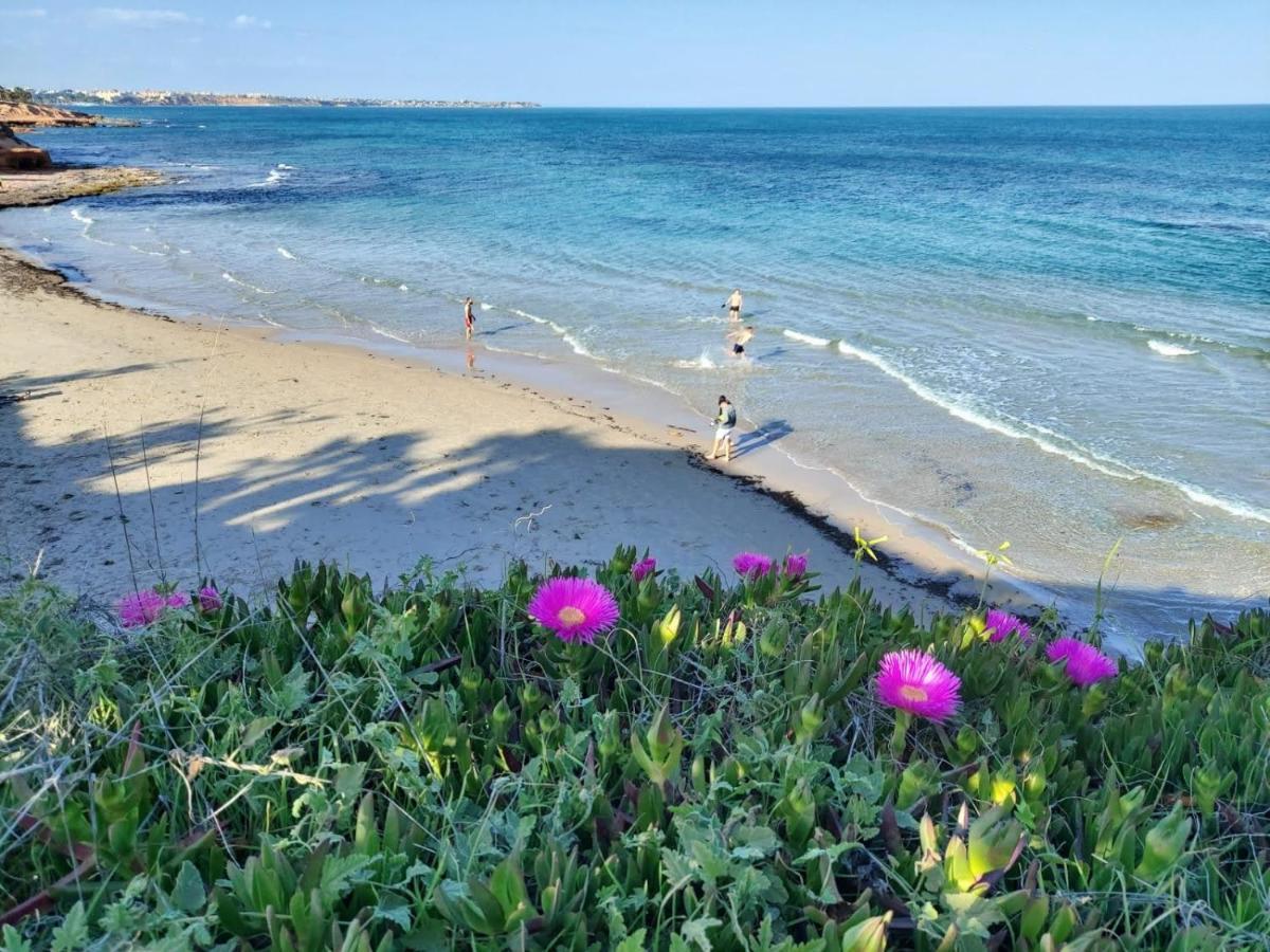 Apartamento Del Nino Campoamor Luaran gambar